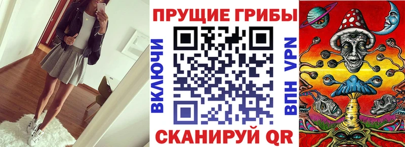 Галлюциногенные грибы Psilocybe  Опочка 